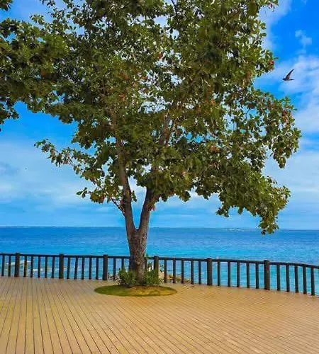 Mactan Newtown Seaview By Cebu Pigmom Апартаменты *